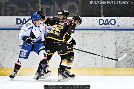 2024-11-23 Fassa Falcons-Mastini Varese 02616 Pietro Borghi
